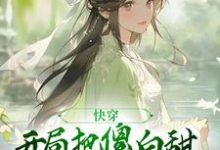 快穿：开局把傻白甜反派拐回家这本小说怎么样？免费在线阅读试试-银杏文学