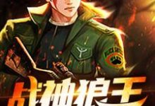 战神狼王小说完结版章节免费阅读-银杏文学