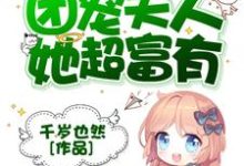 总裁的团宠夫人她超富有苏夏傅璟初苏娇娇方燕祈，总裁的团宠夫人她超富有在线无弹窗阅读-银杏文学