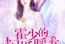 陆一语霍予沉是哪本书的主角？霍少的闪婚暖妻免费读-银杏文学