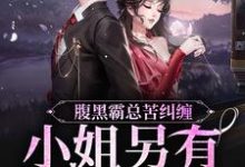 主人公陆慎司沈漾小说腹黑霸总苦纠缠，小姐另有心上人在线章节阅读-银杏文学