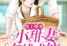 小说《枕上婚宠：小甜妻在线求饶》章节免费阅读-银杏文学