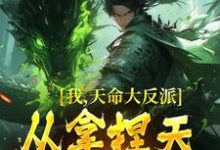 哪里能找到我，天命大反派，从拿捏天道开始小说的最新更新和免费章节？-银杏文学