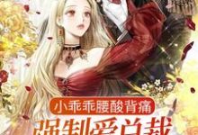 小乖乖腰酸背痛，强制爱总裁是疯批小说完结版章节免费阅读-银杏文学