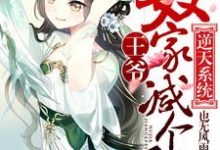 已完结小说《逆天系统：王爷，奴家减个肥》章节在线阅读-银杏文学