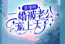 谁懂啊！二婚被老公宠上天了这本小说完结了吗？免费查看最新章节-银杏文学