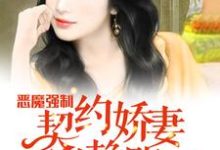 恶魔强制：契约娇妻别赖账免费阅读，恶魔强制：契约娇妻别赖账章节目录-银杏文学
