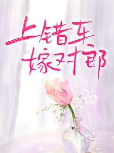 叶渺江约城是哪本书的主角？上错车，嫁对郎免费读