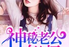小说《神秘老公有点坏》章节免费阅读-银杏文学