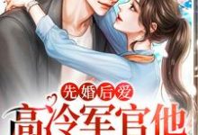 先婚后爱：高冷军官他又沦陷了小说的所有章节都能在哪里免费读到？-银杏文学