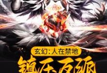 完结版《玄幻：人在禁地，镇压反派的我无敌了》章节阅读-银杏文学