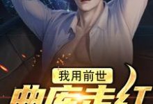 在线寻找慕寒的小说，我用前世曲库走红歌坛后免费阅读-银杏文学