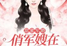 免费在线阅读甜蜜军婚：俏军嫂在八零赚麻了小说的正规网站有哪些？-银杏文学