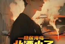 陈楠黑豹的完整故事在哪里？读隐居海岛，北漂小子混的风生水起小说-银杏文学