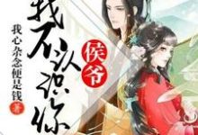 侯爷，我不认识你叶夏柔雷羿云顾石叶晟睿小说免费阅读-银杏文学