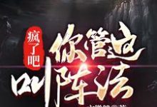 疯了吧！你管这叫阵法？小说最新章节在哪里可以读到？-银杏文学