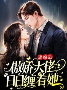 离婚后，傲娇大佬日日缠着她免费阅读，离婚后，傲娇大佬日日缠着她沈晚瓷薄荆舟