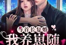 与首长复婚，我养崽随军都可行小说，与首长复婚，我养崽随军都可行宁禾贺绍川-银杏文学