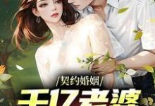 小说《契约婚姻：千亿老婆太撩人》章节免费阅读-银杏文学