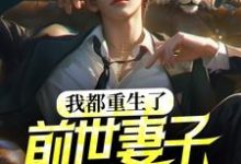 我都重生了，前世妻子才说爱我？小说的免费电子版在哪里可以下载或阅读？-银杏文学