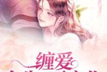 求缠爱：今生，要定你小说的全文免费阅读链接-银杏文学