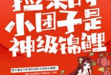 免费看捡来的小团子是神级锦鲤小说的网站有哪些？-银杏文学
