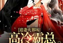 白鹭季屿川的小说在哪里看？免费在线阅读追妻火葬场：高冷霸总跪求我复合-银杏文学