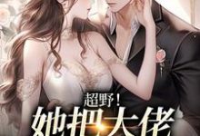 哪里可以免费读到何皎皎曲东黎的完整故事？寻找超野！她把大佬吃干抹尽了-银杏文学