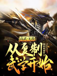 已完结小说《高武：无敌从复制武学开始》在线章节阅读