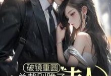 破镜重圆：总裁别跪了，夫人拒绝原谅小说免费资源，破镜重圆：总裁别跪了，夫人拒绝原谅在线阅读-银杏文学