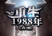 重生1988年小说，重生1988年在线阅读-银杏文学