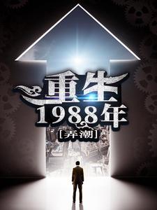 重生1988年小说，重生1988年在线阅读