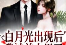 白月光出现后，我被前夫甩了主角 姜稚沈卿尘小说完结版章节在线阅读-银杏文学