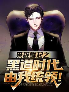 枭雄崛起之黑道时代由我统领！小说，枭雄崛起之黑道时代由我统领！免费阅读