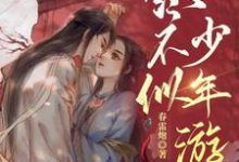 已完结小说《终不似，少年游》章节免费阅读-银杏文学