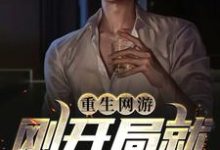 免费阅读苏念网游为主角的小说，重生网游：刚开局就超神了在线看-银杏文学