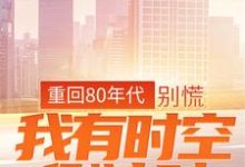 求重回80年代：别慌，我有时空倒计时小说免费资源-银杏文学