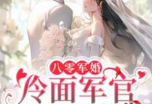 八零军婚：冷面军官甜蜜爱小说阅读，八零军婚：冷面军官甜蜜爱完结版-银杏文学