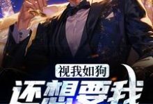 叶凡为主角的小说叫什么？免费看视我如狗，还想要我拯救家族？-银杏文学