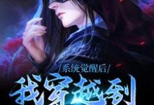 系统觉醒后，我穿越到了异世界小说免费资源，系统觉醒后，我穿越到了异世界在线阅读-银杏文学