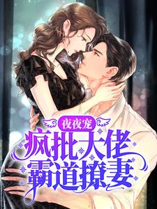 免费阅读秦衍慕瓷为主角的小说，夜夜宠，疯批大佬霸道撩妻在线看