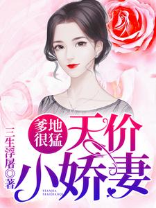 爹地很猛：天价小娇妻小说，爹地很猛：天价小娇妻免费阅读
