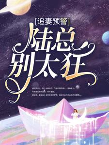 程念念陆琰为主角的小说好看吗？求追妻预警：陆总别太狂免费试读