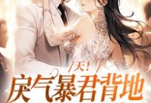 完结版《天！戾气暴君背地里卑微哄妻》免费阅读-银杏文学