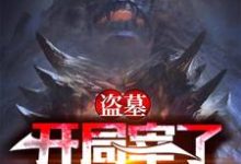 已完结小说《盗墓：开局宰了怒晴鸡》最新章节-银杏文学