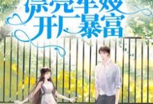 哪里能找到军宠八零：漂亮军嫂开厂暴富小说的全部章节？-银杏文学