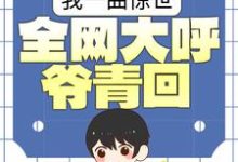 我一曲惊世，全网大呼爷青回小说有没有完结版在线？-银杏文学