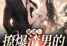 小说《甜诱！撩爆渣男的禁欲小叔》章节阅读-银杏文学