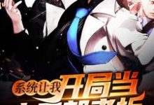 系统让我开局当小卖部老板小说，系统让我开局当小卖部老板沐风-银杏文学