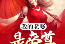 我的老婆是帝尊这本小说在哪里可以看？哪里有免费试读章节？-银杏文学